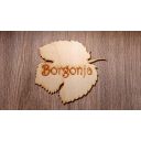 original_1674044113_borgonja1.jpg