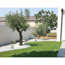 original_1681471768_render-outdoor-2.png