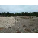 original_1697698235_dji_0049.jpg