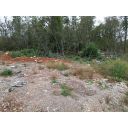 original_1697698268_dji_0055.jpg