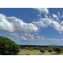 original_1698854393_istra-zemljiste-s-gradevinskom-dozvolom-prodaja.jpg