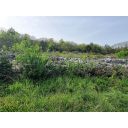 original_1712773879_istra-gradevinsko-zemljiste-s-gradevinskom-dozvolom-pogled-na-more-prodaja.jpg