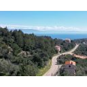 original_1710750281_dji_0319.jpg