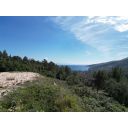 original_1710750824_dji_0414.jpg