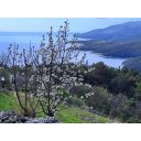 original_1720044412_croatia-istria-property-for-sale-44.jpg
