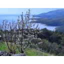 original_1724089781_croatia-istria-real-estate-for-sale-178.jpg