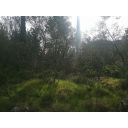 original_1705056333_img_20230326_161228.jpg