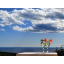 original_1732046799_croatia-istria-real-estate-for-sale-391.jpg