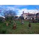 original_1742119173_croatia-istria-real-estate-for-sale-494.jpg