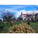 original_1742119179_croatia-istria-real-estate-for-sale-495.jpg