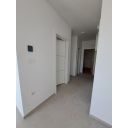 original_1785071601_12.jpeg