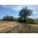 original_1725610507_img_9154-1.jpg