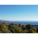 original_1762829574_dji_0005.jpg