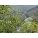 original_1776703315_9e77fb35-1407-4c50-a547-25ccef93ca54.jpeg