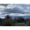 original_1741880138_img_3550.jpg