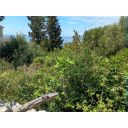 original_1782159776_img_20260617_140836221_hdr.jpg