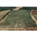 original_1782991808_image-01.jpg