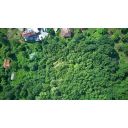 original_1782335620_dji_20260623085047_0014_d.jpg