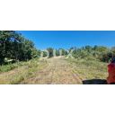 original_1787148390_1694421525_whatsapp-image-2023-09-11-at-09.jpeg