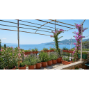 original_1787250919_pogled_more.png