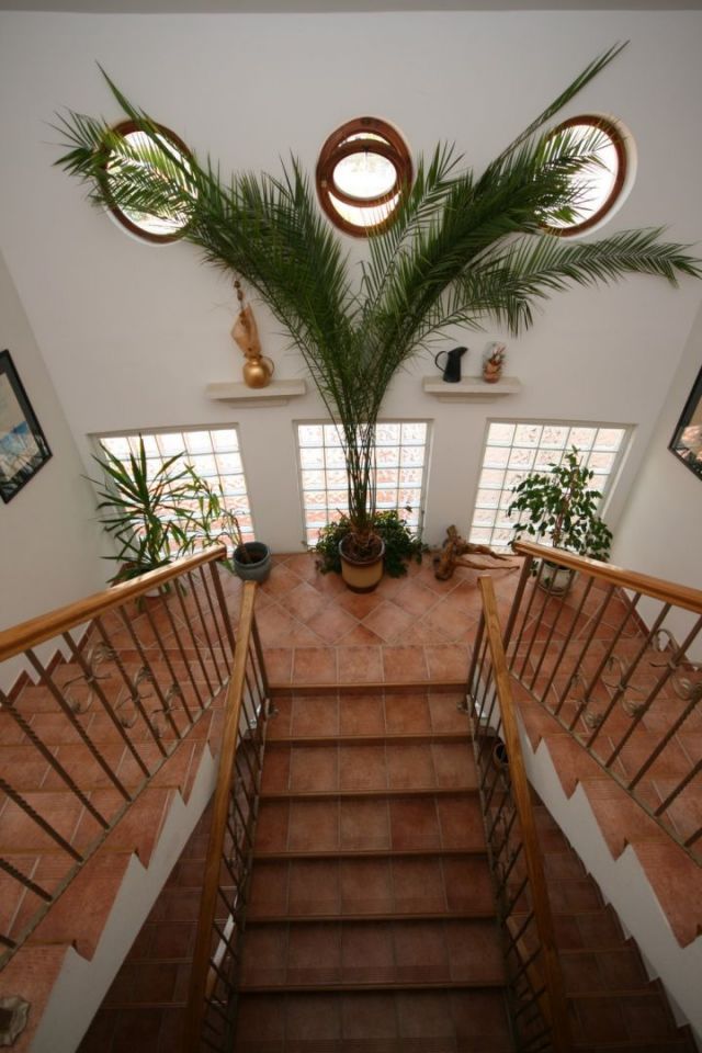 original_1650034652_img_4253.jpg