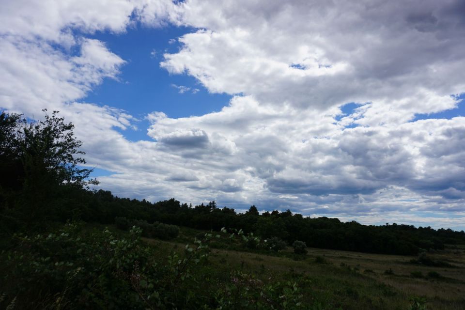 original_1658238833_dsc02918.jpg