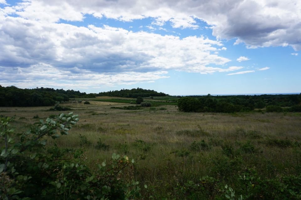 original_1658238846_dsc02919.jpg
