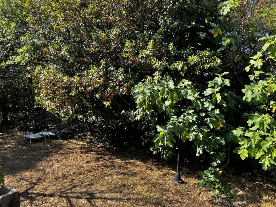 original_1663694420_img_2453.jpg