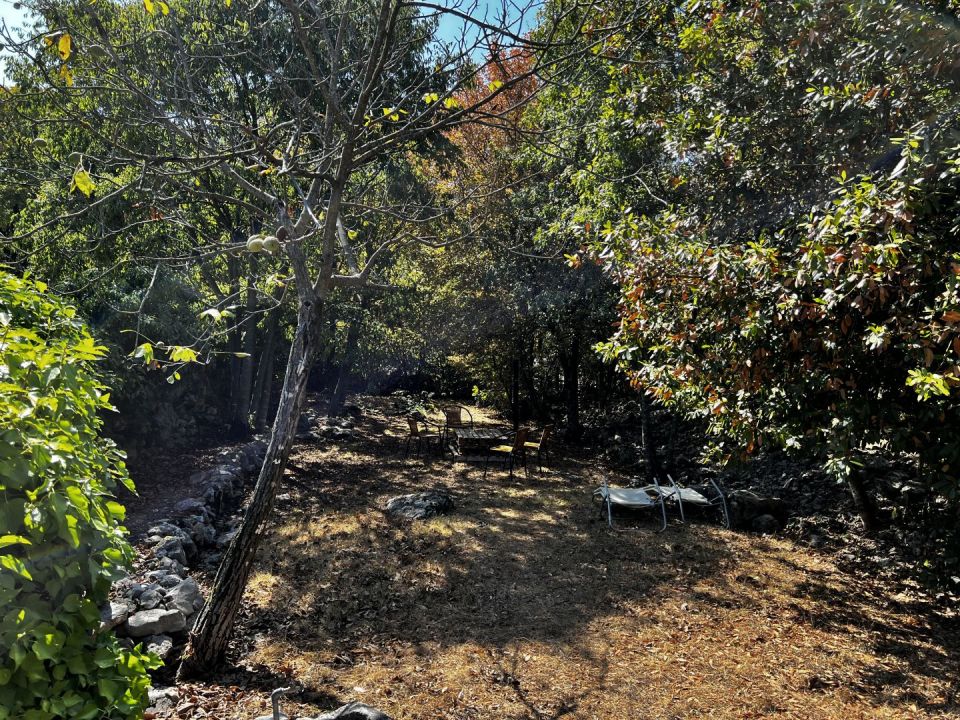 original_1663694430_img_2454.jpg