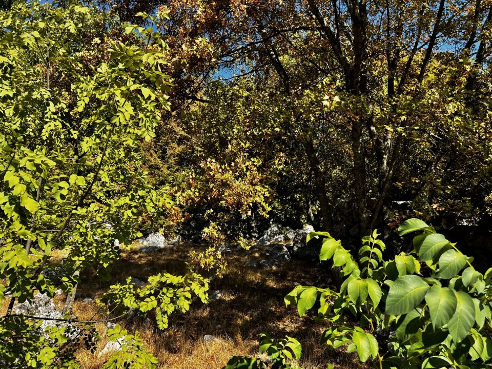 original_1663694440_img_2455.jpg