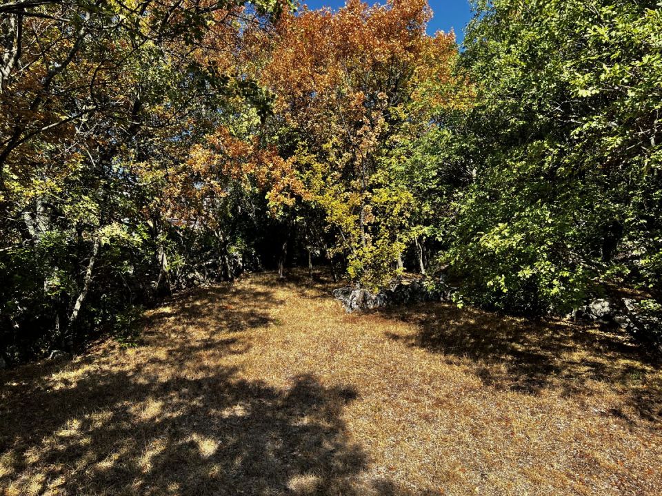 original_1663694540_img_2467.jpg