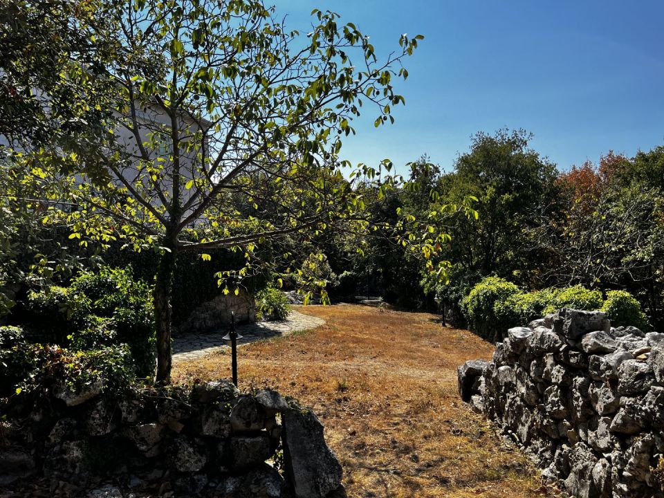 original_1663694622_img_2475.jpg