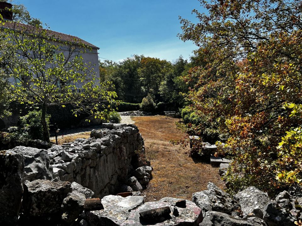 original_1663694677_img_2481.jpg