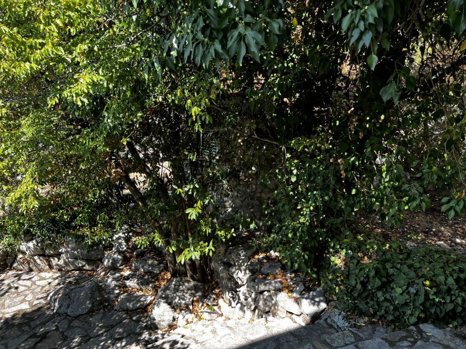 original_1663694773_img_2491.jpg