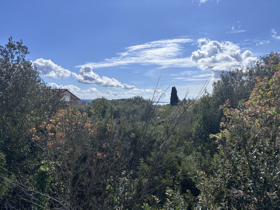 original_1714143199_img_5338.jpeg