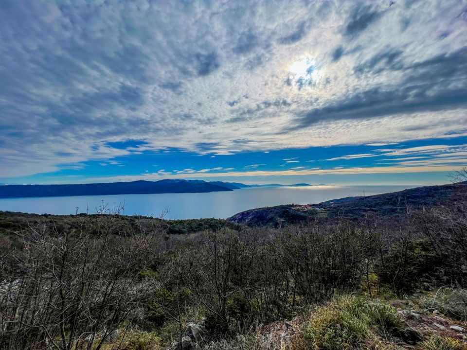 original_1676891612_image00006.jpg
