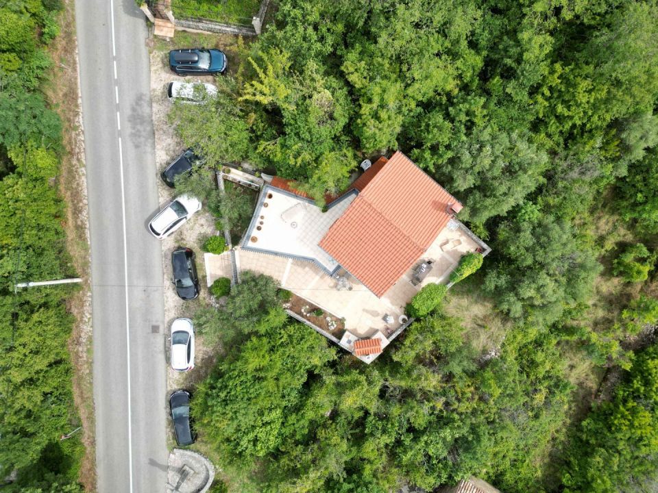 original_1691324393_dji_0394.jpeg