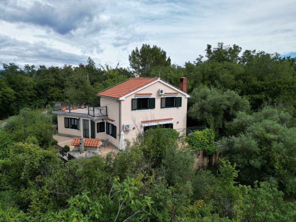 original_1691324448_dji_0419.jpeg