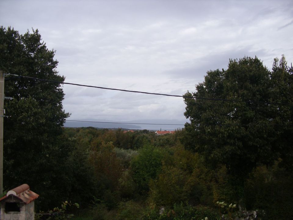 original_1698055197_img_3706.jpg
