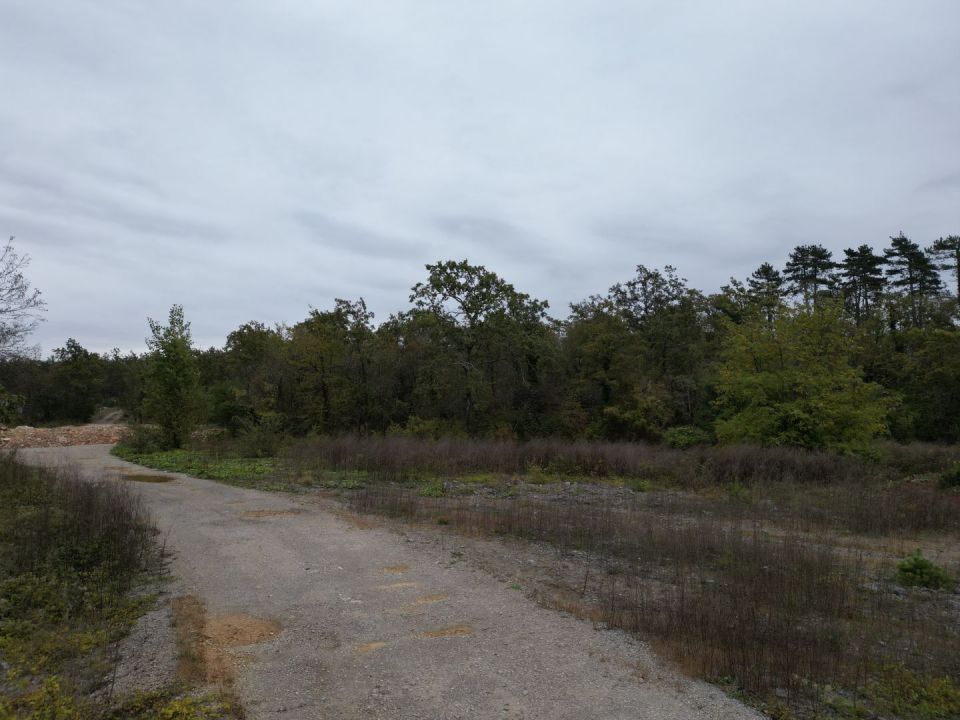 original_1697698078_dji_0015.jpg