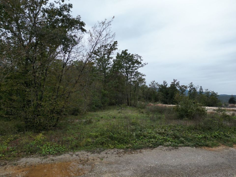 original_1697698099_dji_0023.jpg