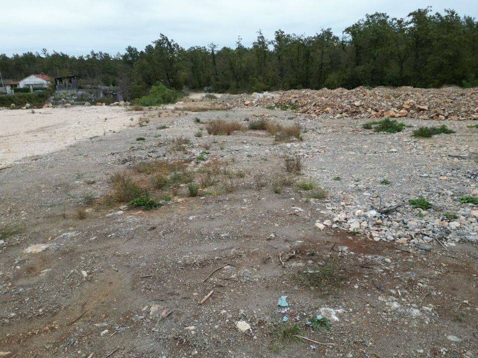 original_1697698215_dji_0046.jpg