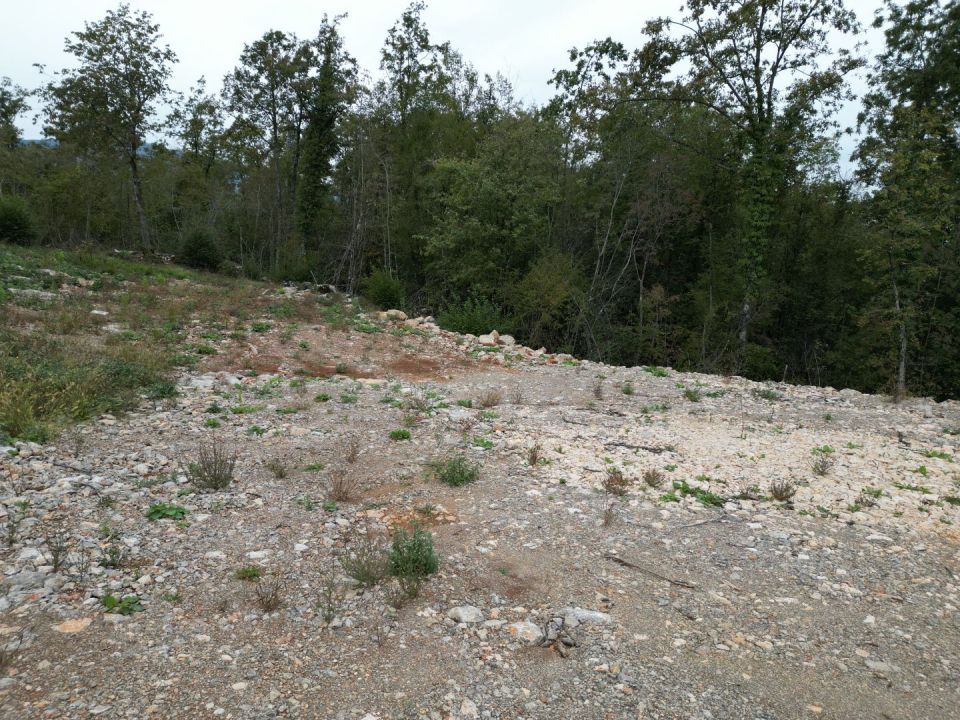 original_1697698260_dji_0053.jpg