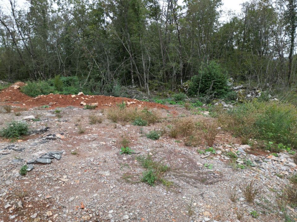 original_1697698268_dji_0055.jpg