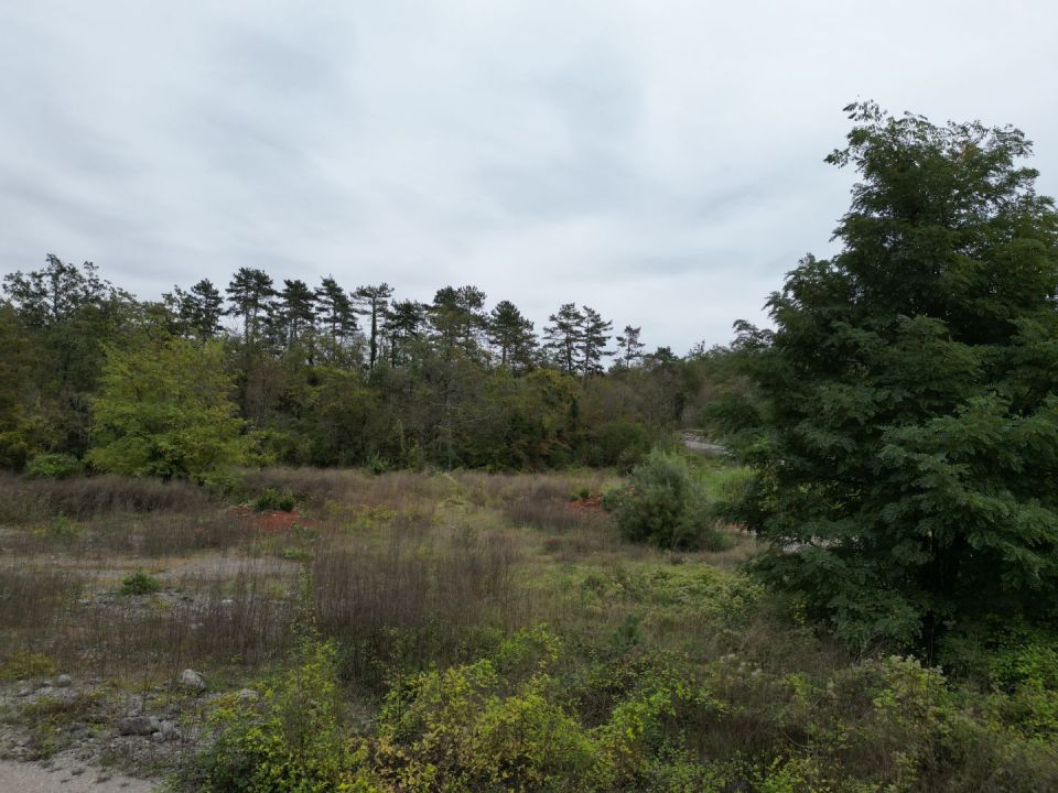 original_1697698296_dji_0997.jpg