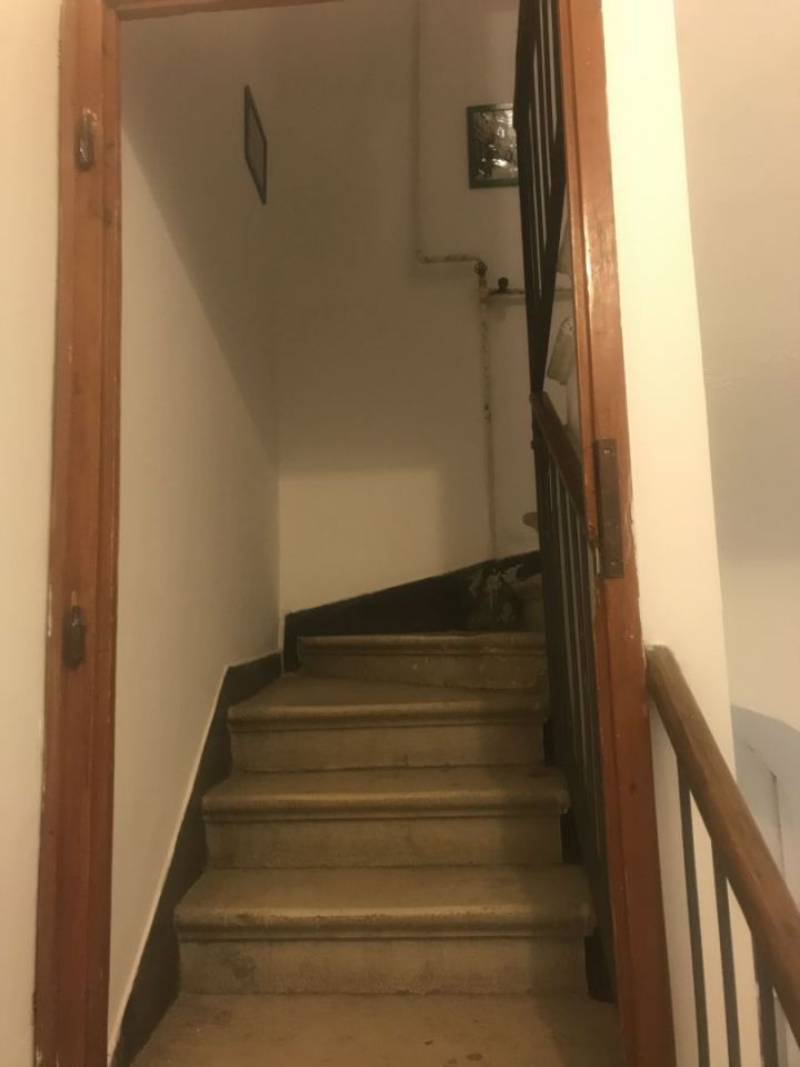 original_1666009782_img_4484.jpg