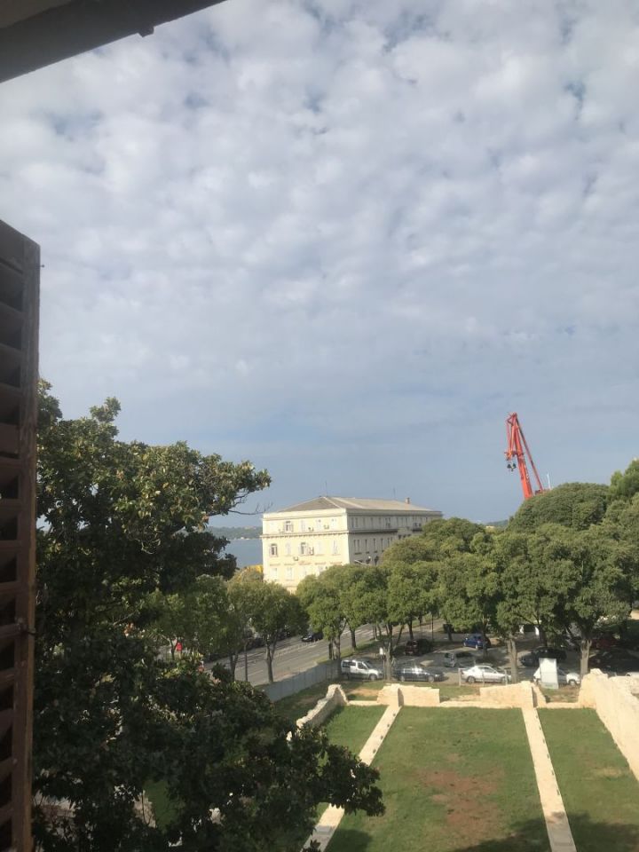 original_1666009962_img_4509.jpg