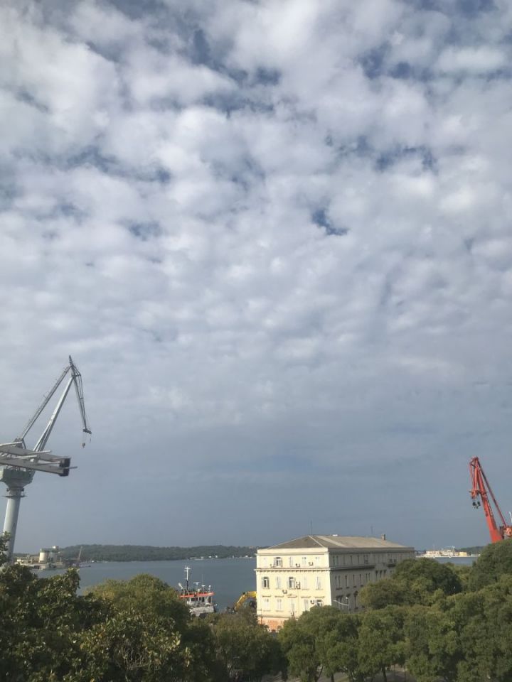 original_1666010043_img_4520.jpg