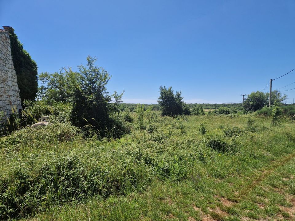 original_1716214535_v-2.jpg