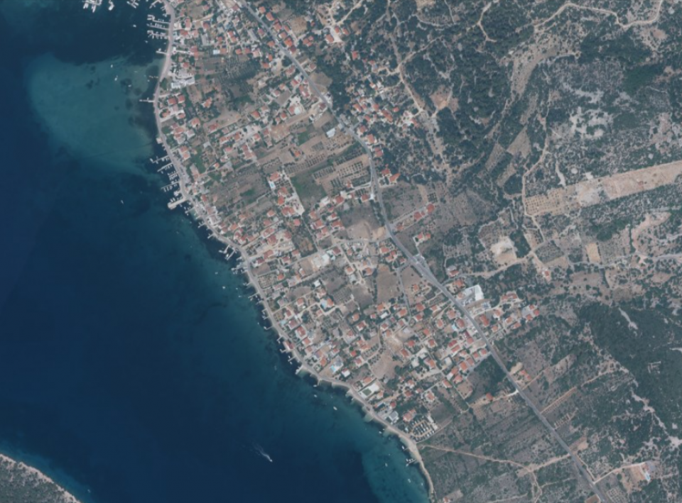 original_1702422726_barbat-rab.png